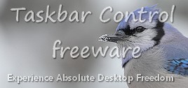 Show / Hide the Taskbar at will, with your keyboard